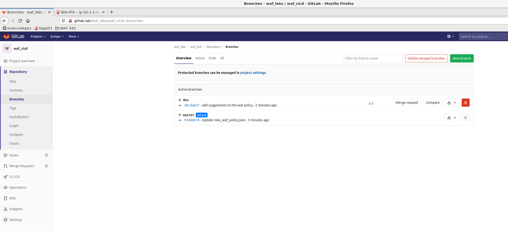 ../../_images/dev_branch.png